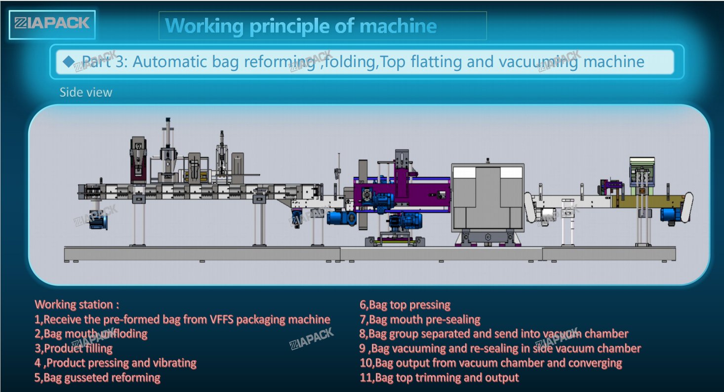 Brick vacuum bag packaging machine - IAPACK