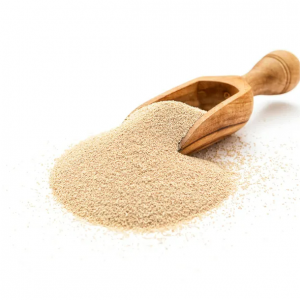 100克磚真空袋包裝機